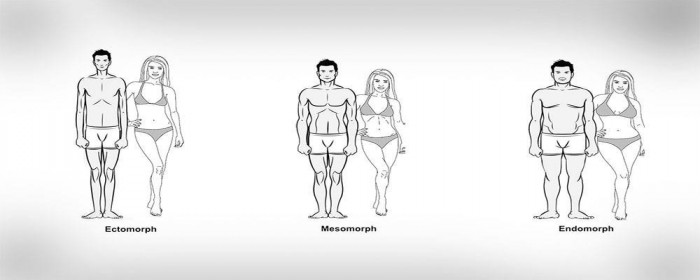 de-drie-lichaamstypes